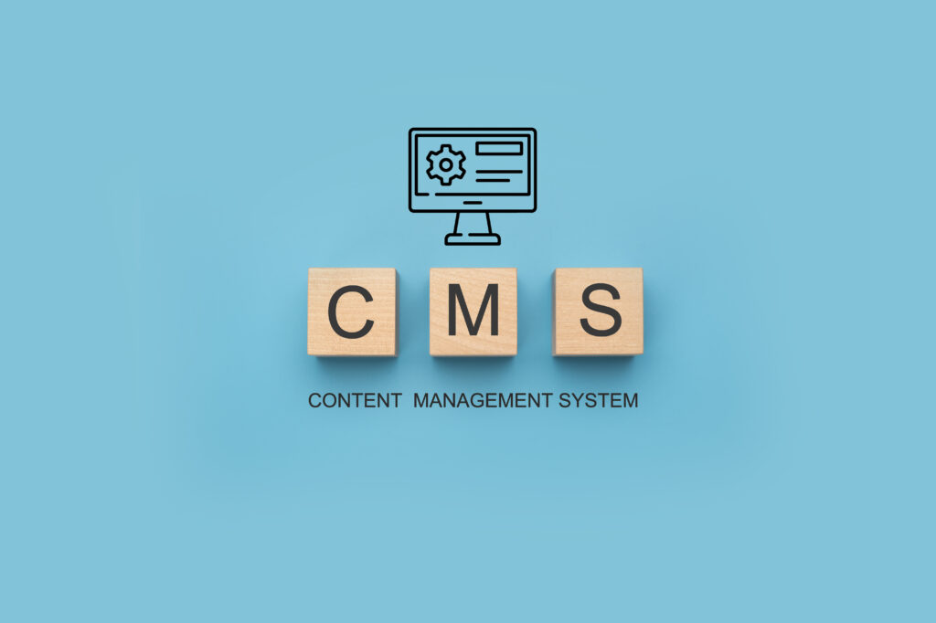 cms static website development services agency in USA